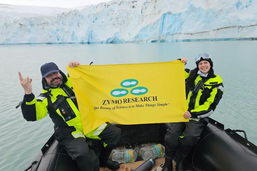Descubriendo los mundos microbianos ocultos de South Bay, Isla Livingston