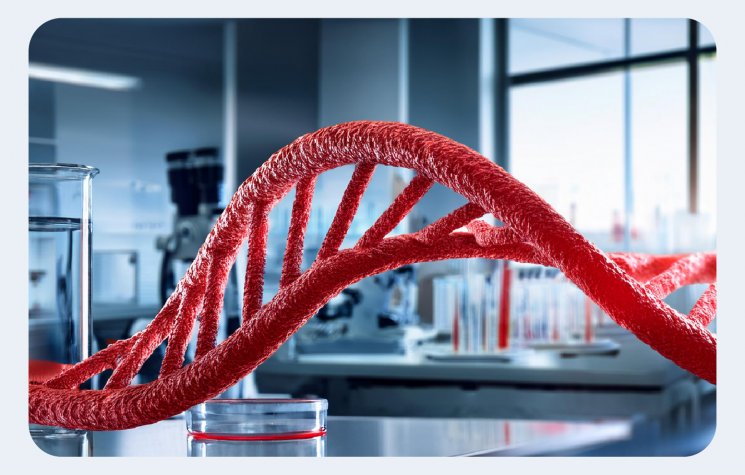 Limpieza y Concentración de DNA RNA