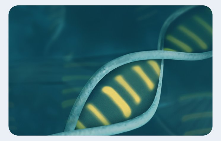 Marcadores de Peso Molecular para  DNA