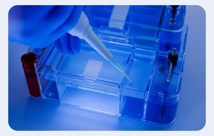 Marcadores de Peso Molecular para RNA