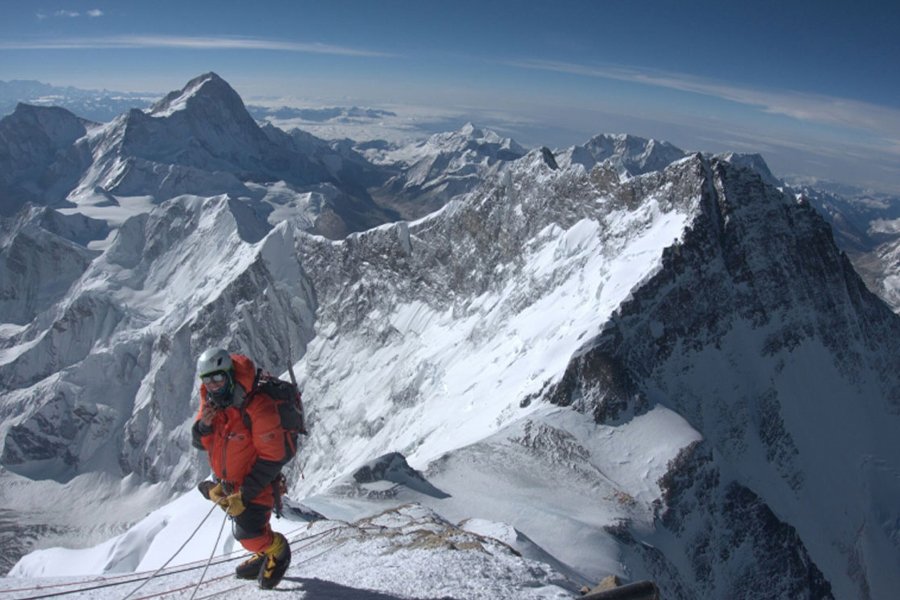 Rendimiento óptimo: