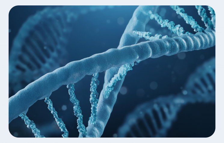 TaqMan Advanced  miRNA Assays